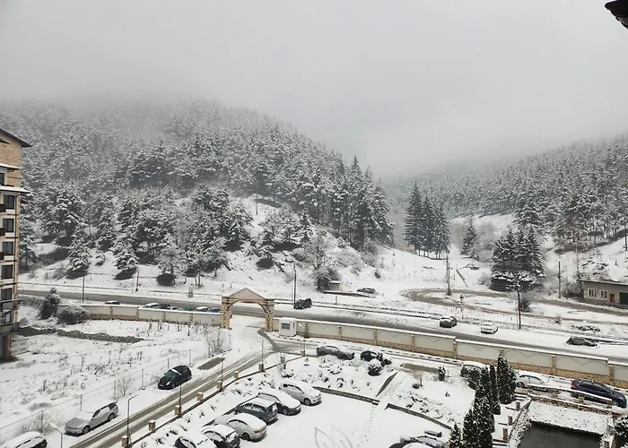 Hotel студио бети балнео свети спас 5*